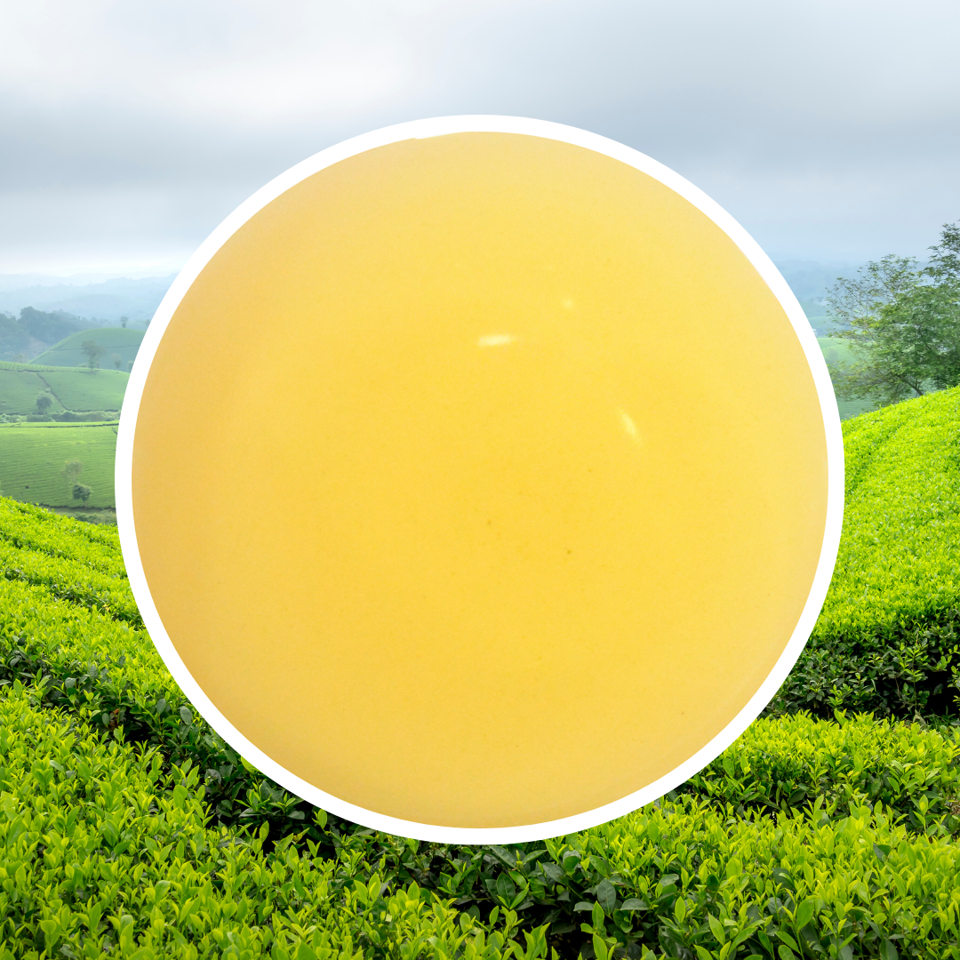 Trà Ô Long Xanh BNB  (Tấm)- 1 KG